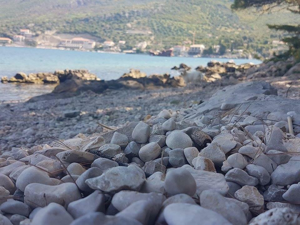 Hanas Dream Places Затон Экстерьер фото