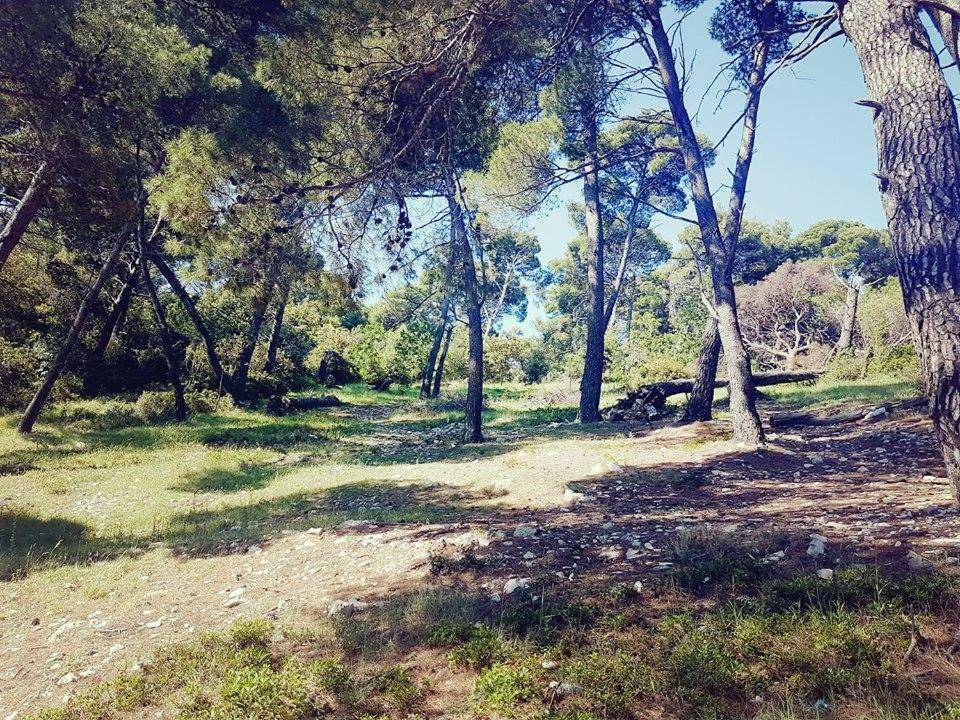 Hanas Dream Places Затон Экстерьер фото